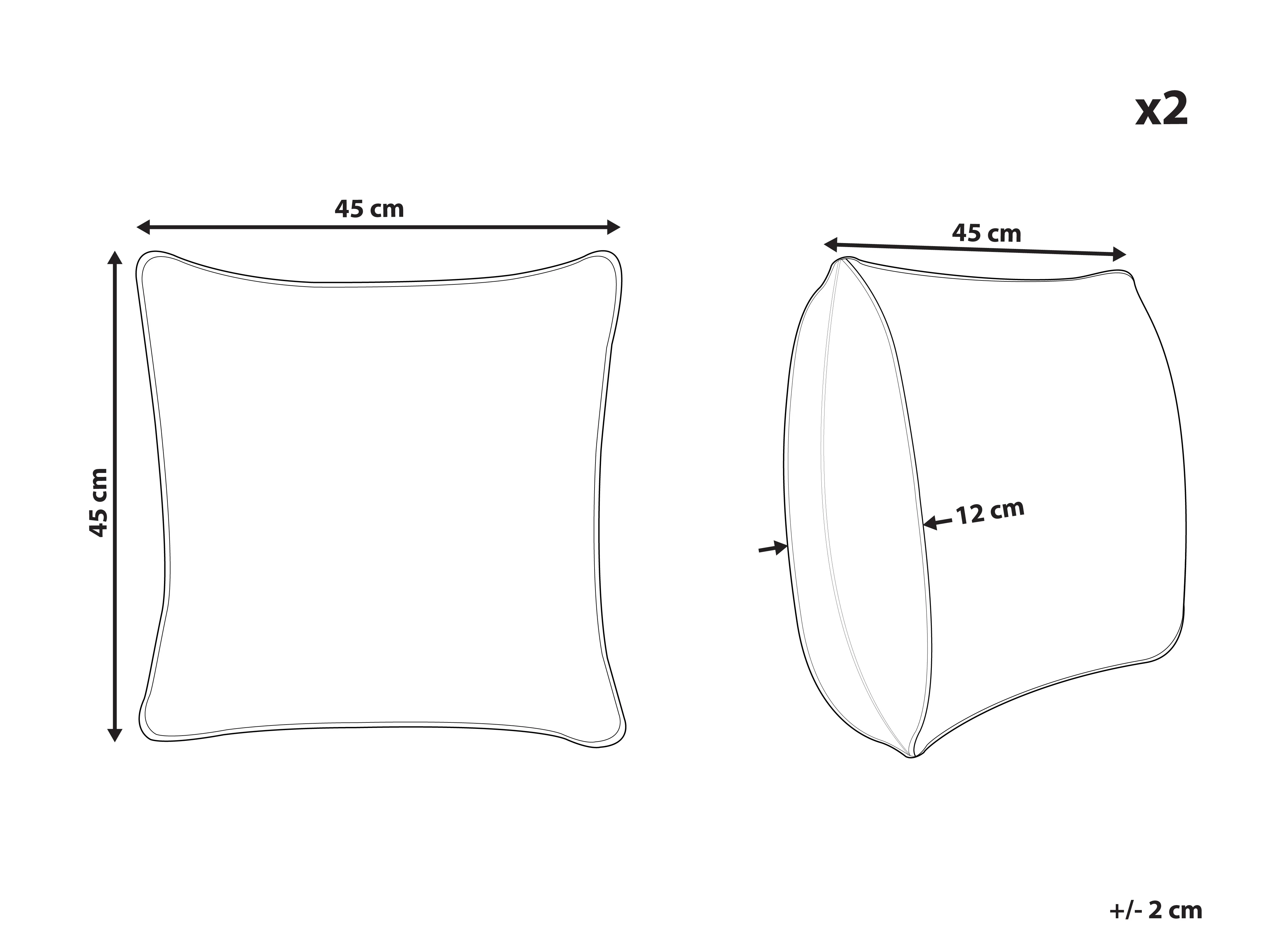 Set van 2 tuinkussens TRANQUI bladpatroon 45 x 45 cm Meerkleurig