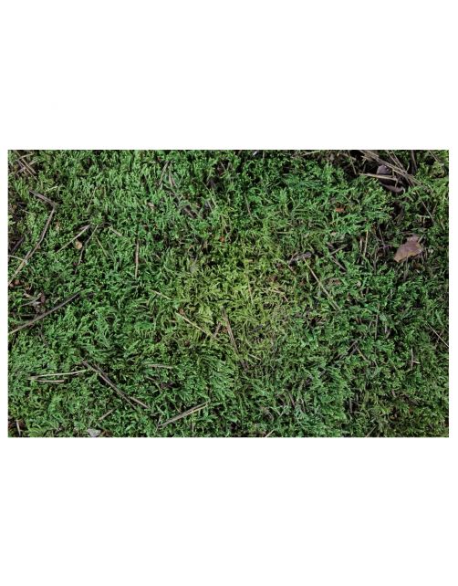 Esve Scharrelmos Voor Pluimvee - Broedartikelen - 430 g