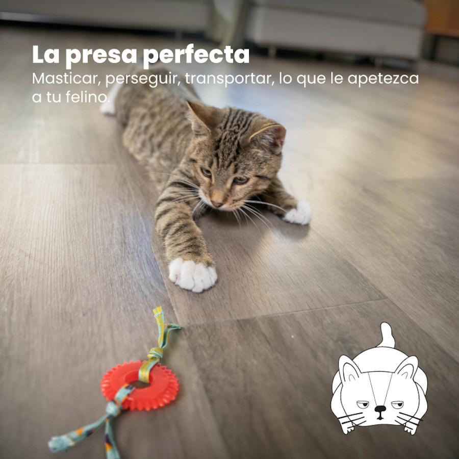Mordedor para gatos Outward Hound Catstages Kitty Chew com roda vermelha
