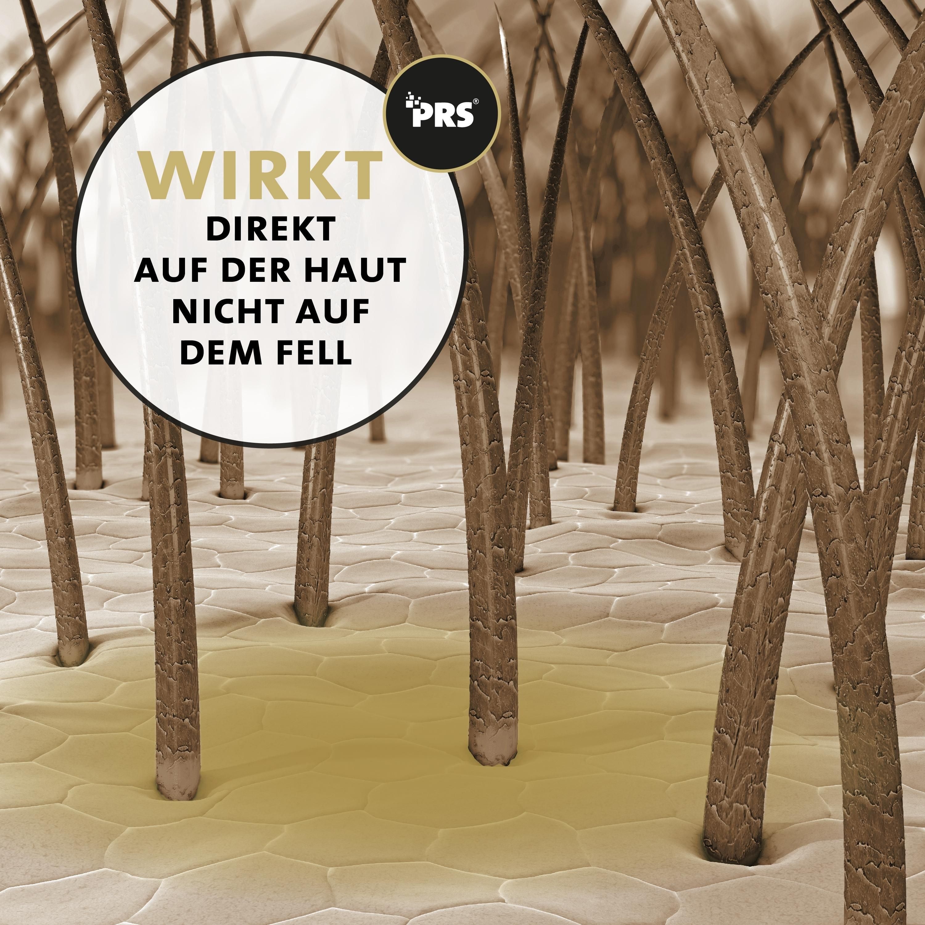 Peticare Spezial-Mittel für Pferde bei Mauke Raspe Fesselekzem