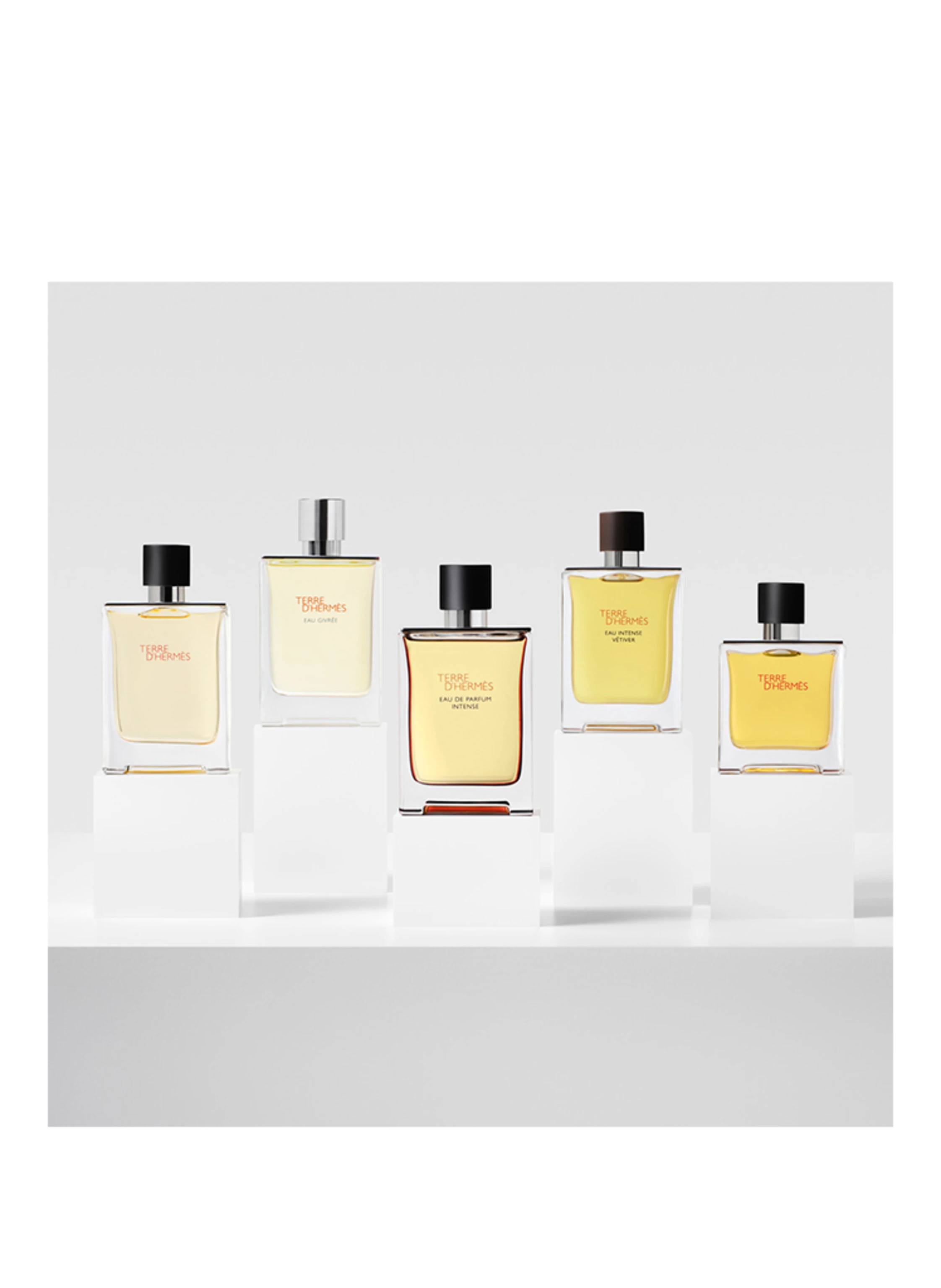 HERMÈS TERRE D'HERMÈS REFILL