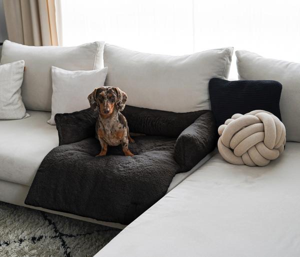 District 70 Hundesofa Nuzzle