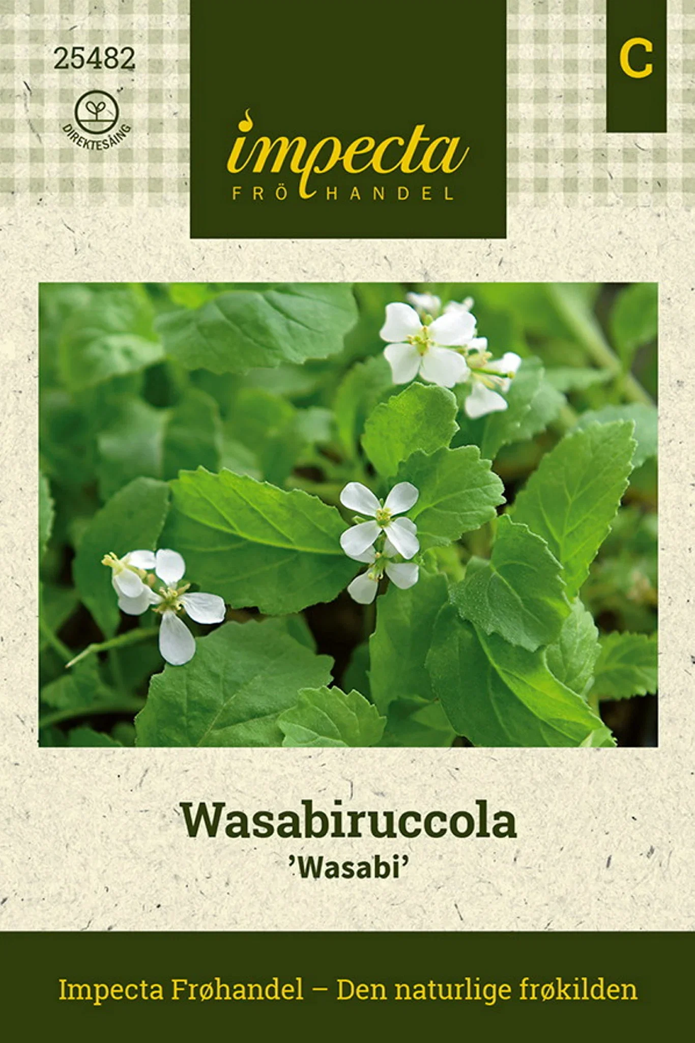 Diplotaxis erucoides 'Wasabi' Wasabiruccola 'Wasabi'