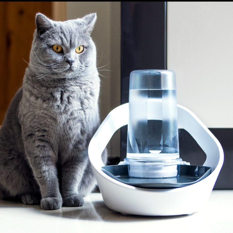 Dispensador de água automático Sure Petcare Felaqua Connect para gatos