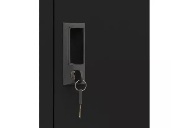 Armoire à casiers Noir 38x45x180 cm Acier