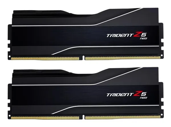 G.Skill Trident Z5 Neo - DDR5 - sæt - 48 GB: 2 x 24 GB - DIMM 288-PIN - 4000 MT/s / PC5-64000 - CL40 - 1.4 V - ikke bufferet - on-die ECC - mat sort