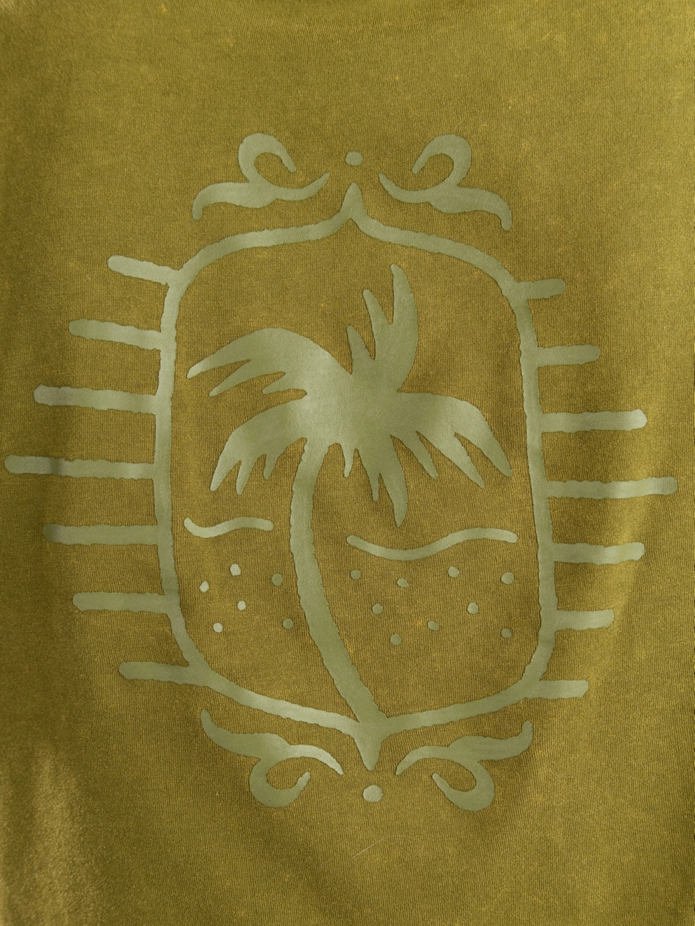 Santa Cruz Wonder Strip Crop T-Shirt sea kelp