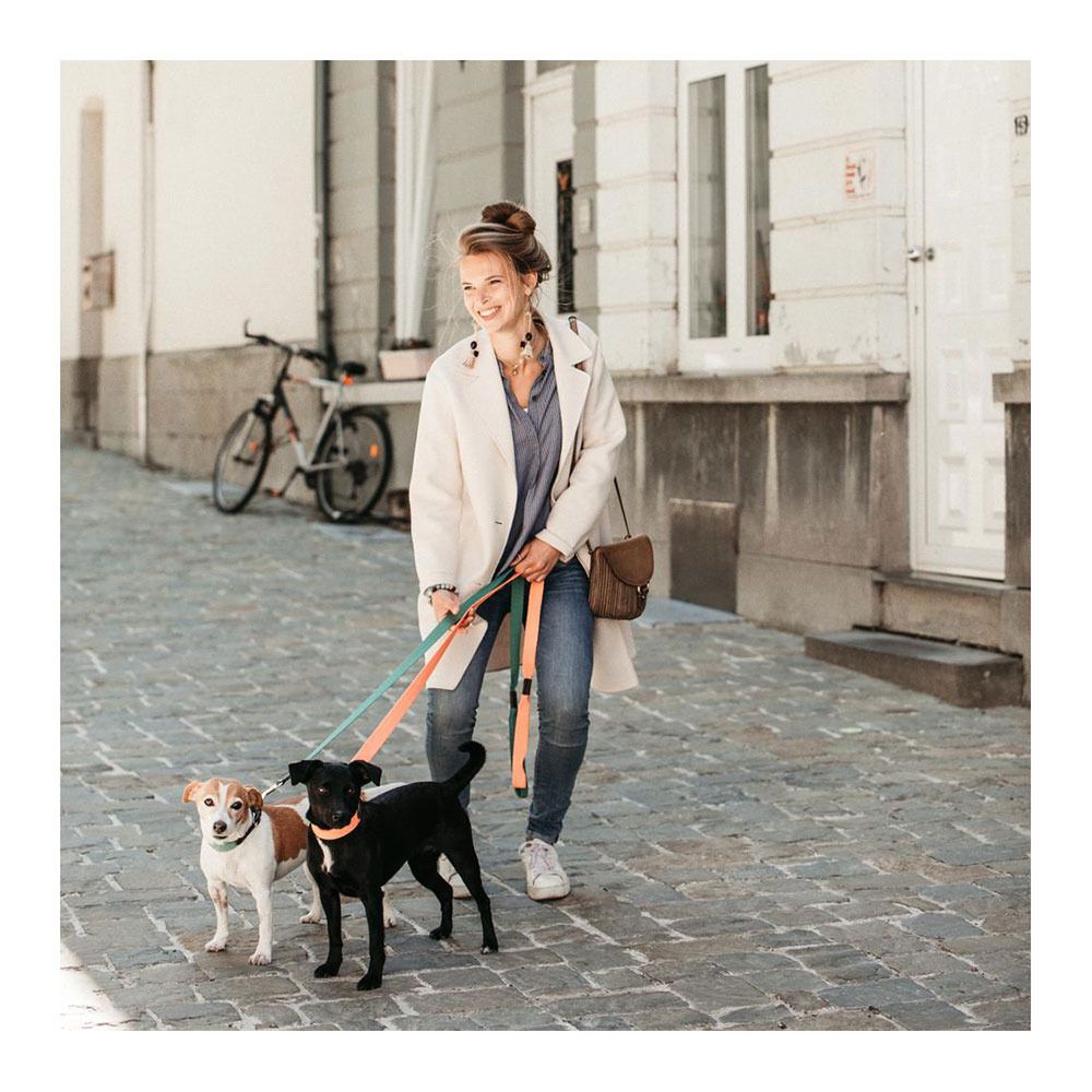Kentucky JACQUARD - Laisse pour chien orange fluo