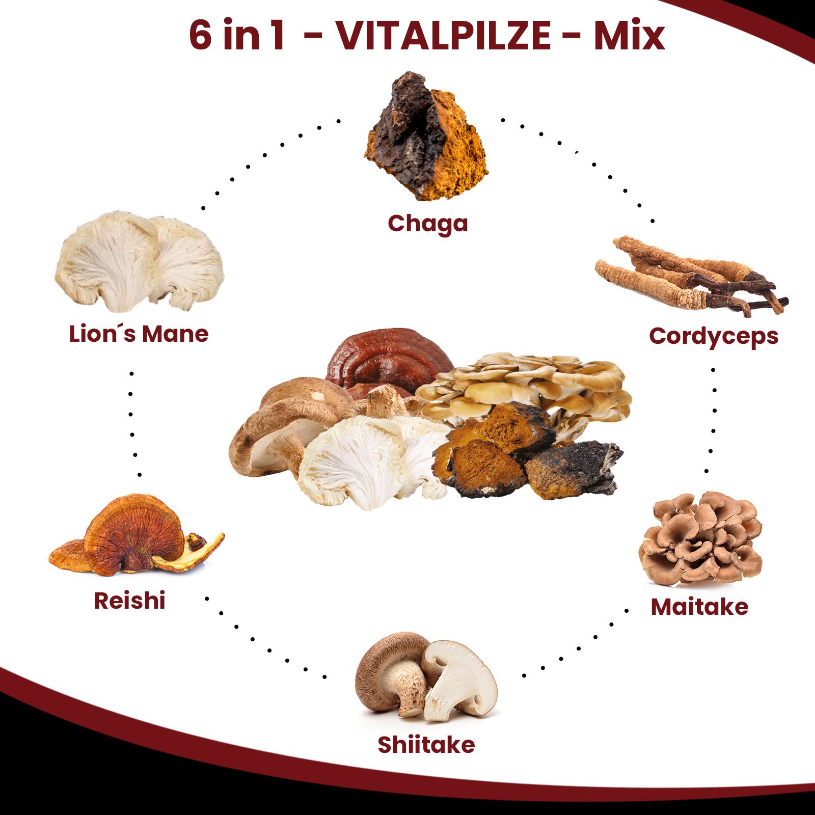 SHROOMY Pilz Komplex Extrakt Pulver mit 6 Vitalpilzen