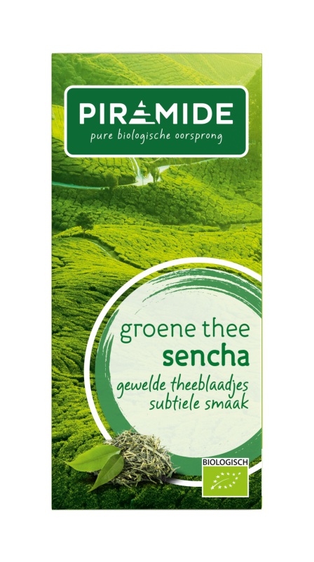 Piramide Groene Thee Sencha20 Stuks