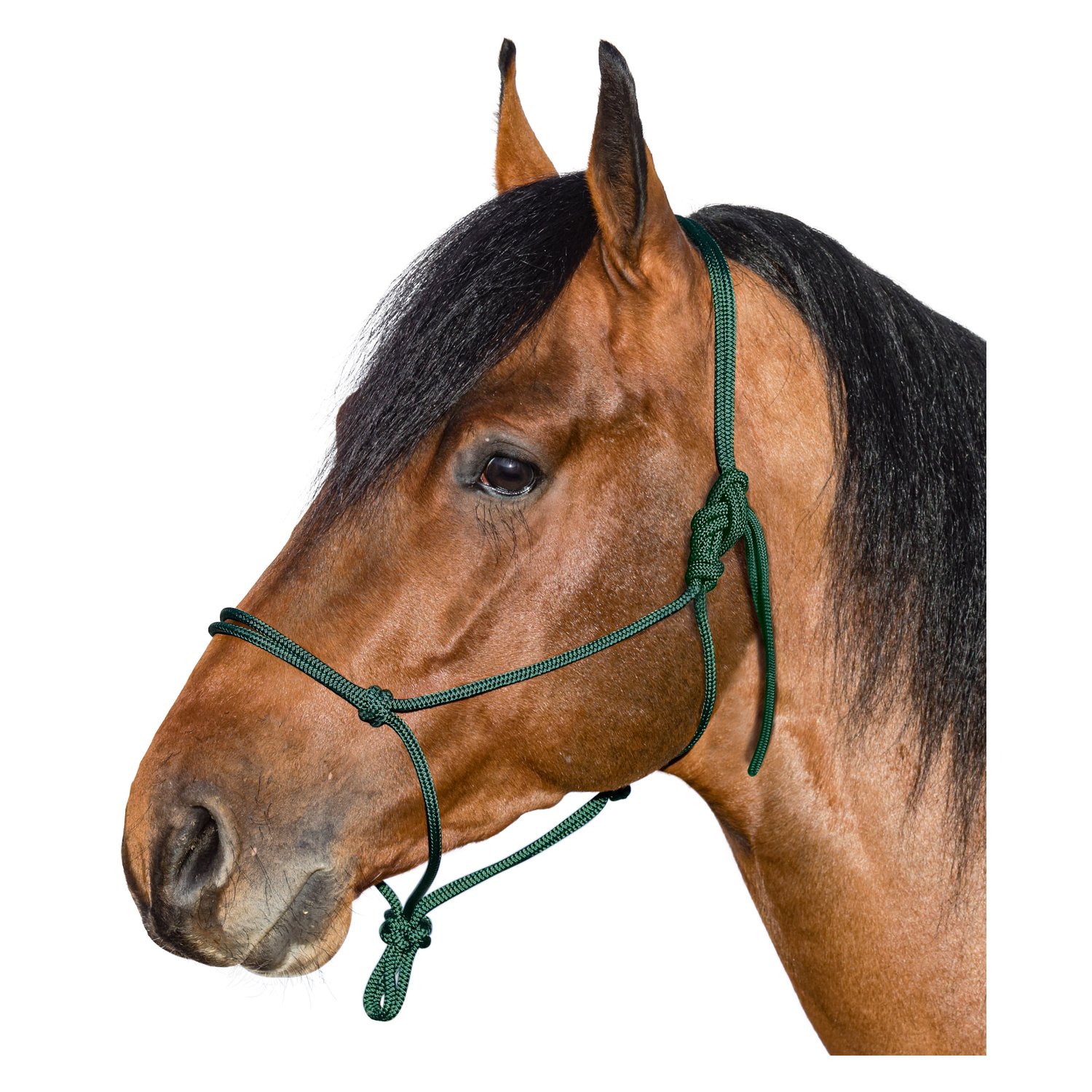 BROCKAMP Knotenhalfter Horse-Man-Halfter  - tannengrün