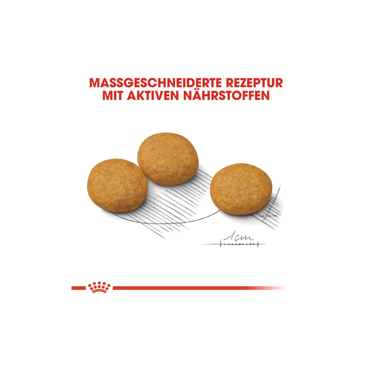 ROYAL CANIN Dermacomfort Medium 3 kg