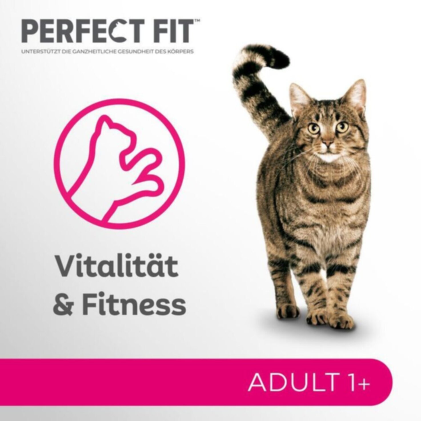 Perfect Fit Cat Fit Adult Mix 12x85g