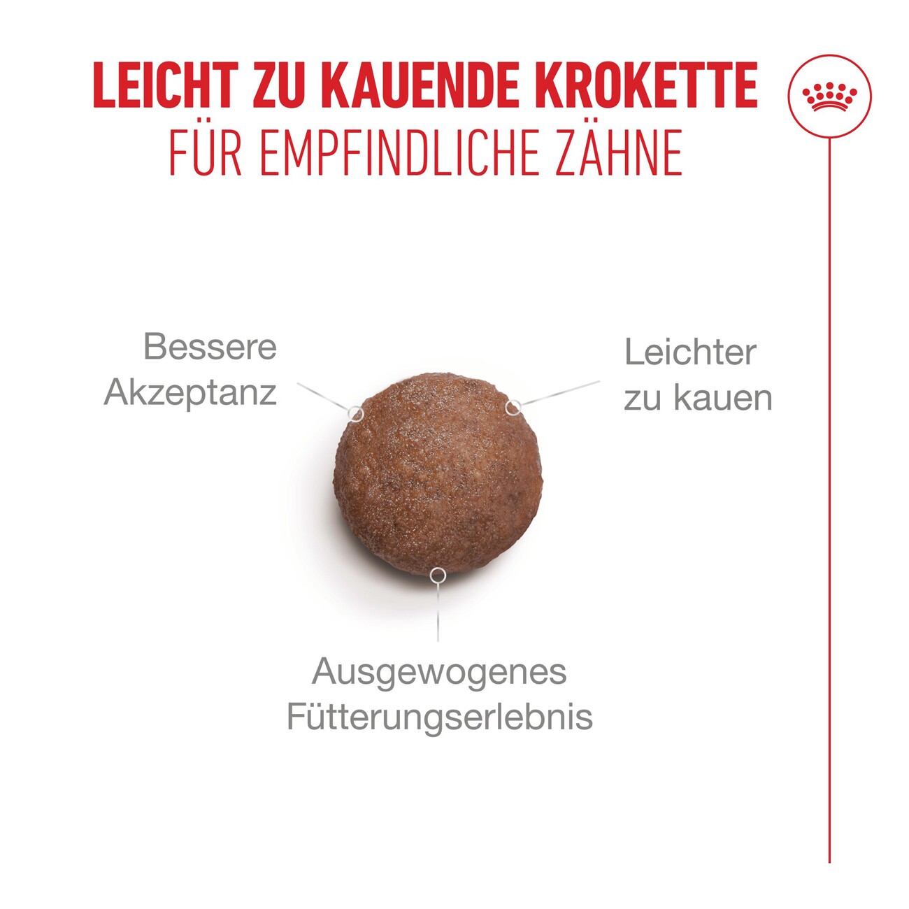 ROYAL CANIN Trockenfutter Katze, Senior, Ageing 15+ 400 g