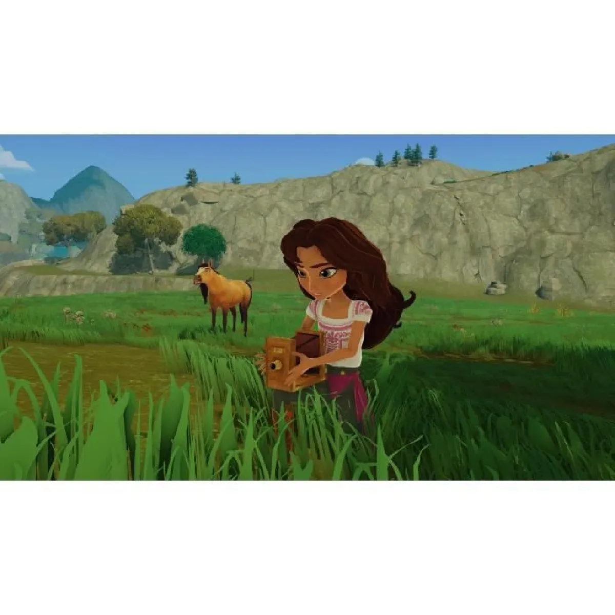 BANDAI NAMCO ENTERTAINMENT Bandai Namco DreamWorks SPIRIT