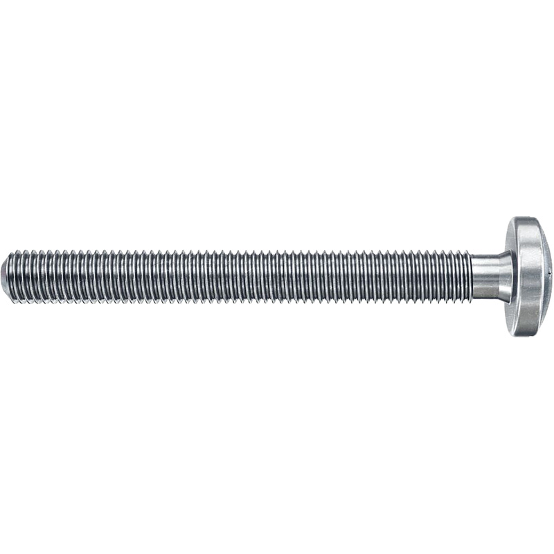 Fischer DuoHM S PH TX hollewandplugpgen 6x55mm TX30