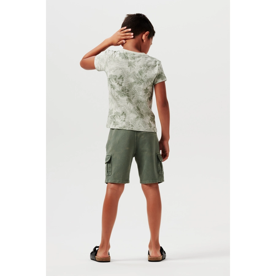 Noppies T-shirt Ricardo Willow Grey