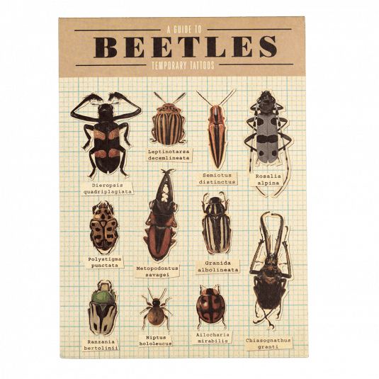 Tatouages temporaires insectes Rex London