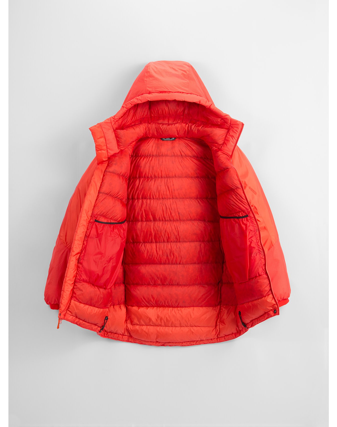 Arcteryx Alpha Parka Dynasty