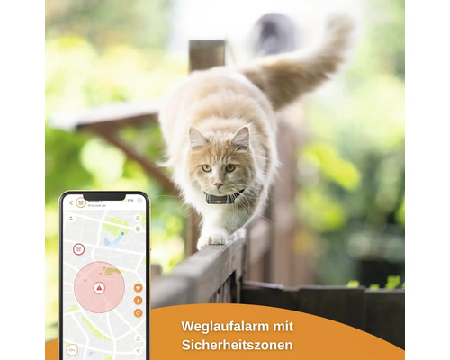 GPS tracker weenect voor katten, 28 g, 6 x 2,4 x 1,5 cm, zwart