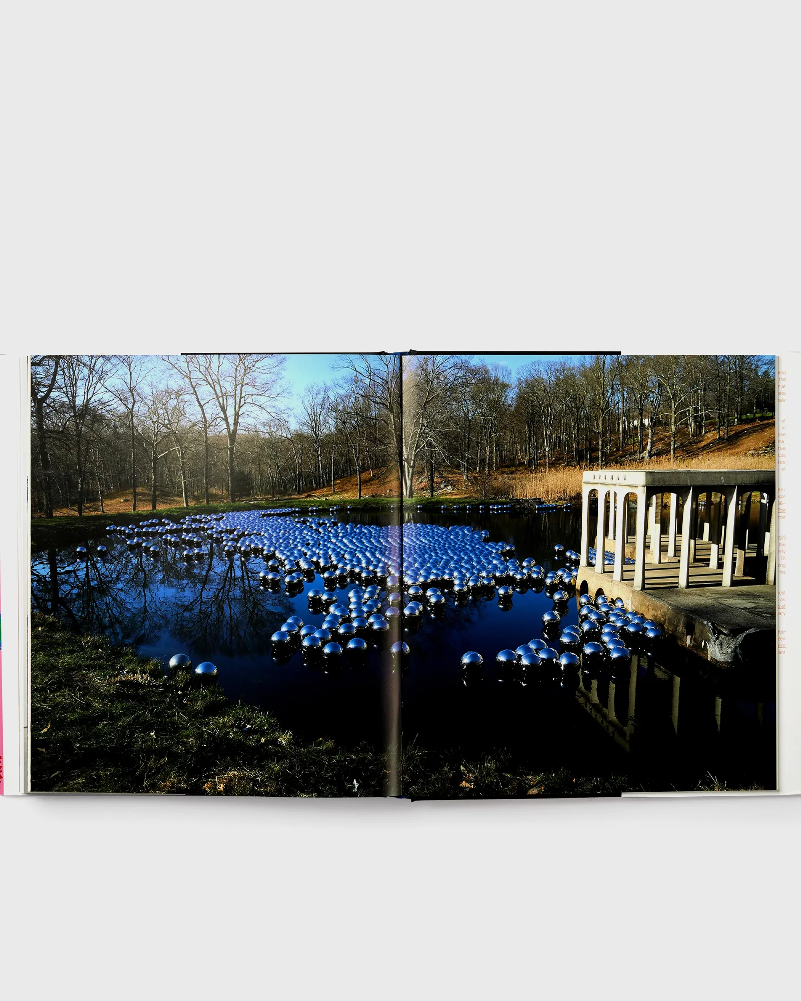 PHAIDON 