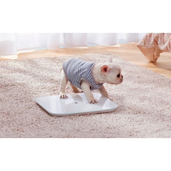 Xiaomi Balança Inteligente Mi Smart Scale 2 Bluetooth 5.0 White - NUN4056GL