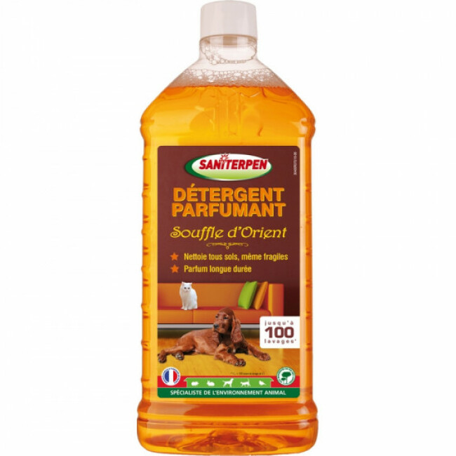 Détergent pour sol et extérieur Saniterpen Bidon 1 litre