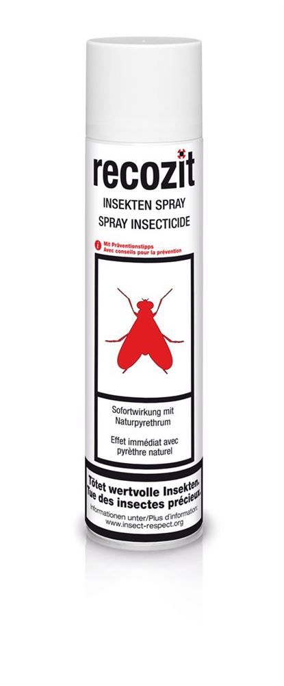 RECOZIT Insekten Pyrethrum Spray Spray 400 ml