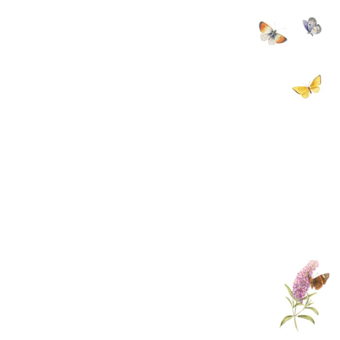 Verjaardagskaart | Janneke Brinkman | Vlindergroet