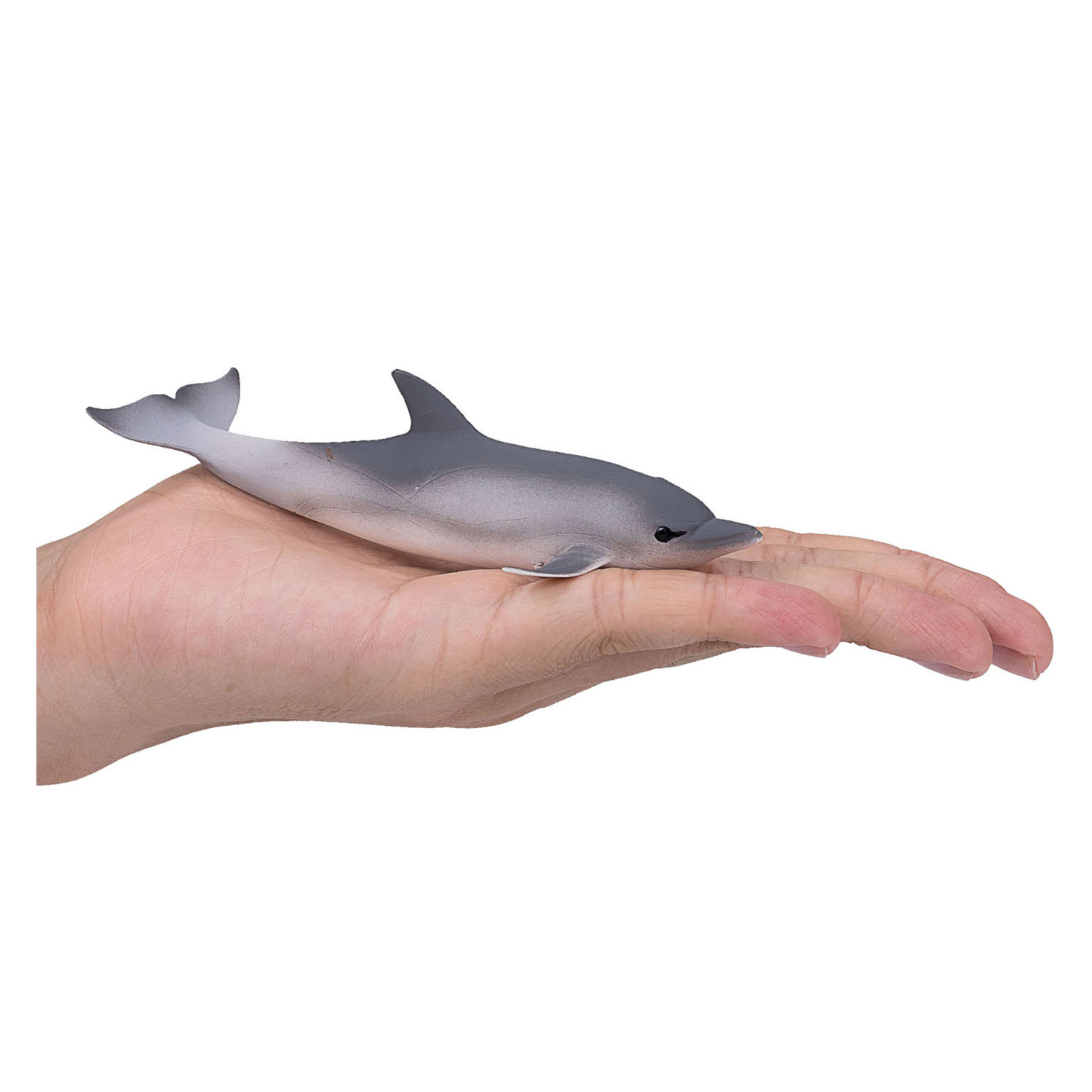 Mojo Sealife Gewone Dolfijn 387358
