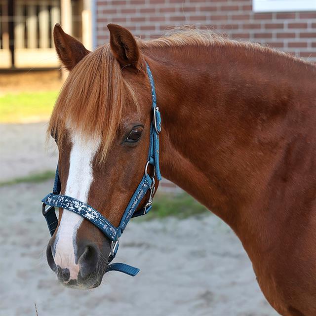 Halster HORSEGEAR HGVelvet Dapple Darkturquoise