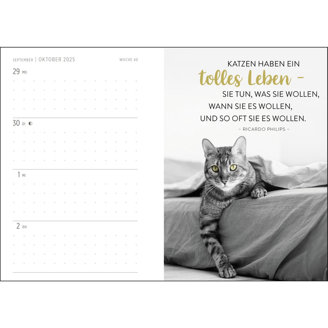 Taschenkalender 2025 - Katzenfreunde