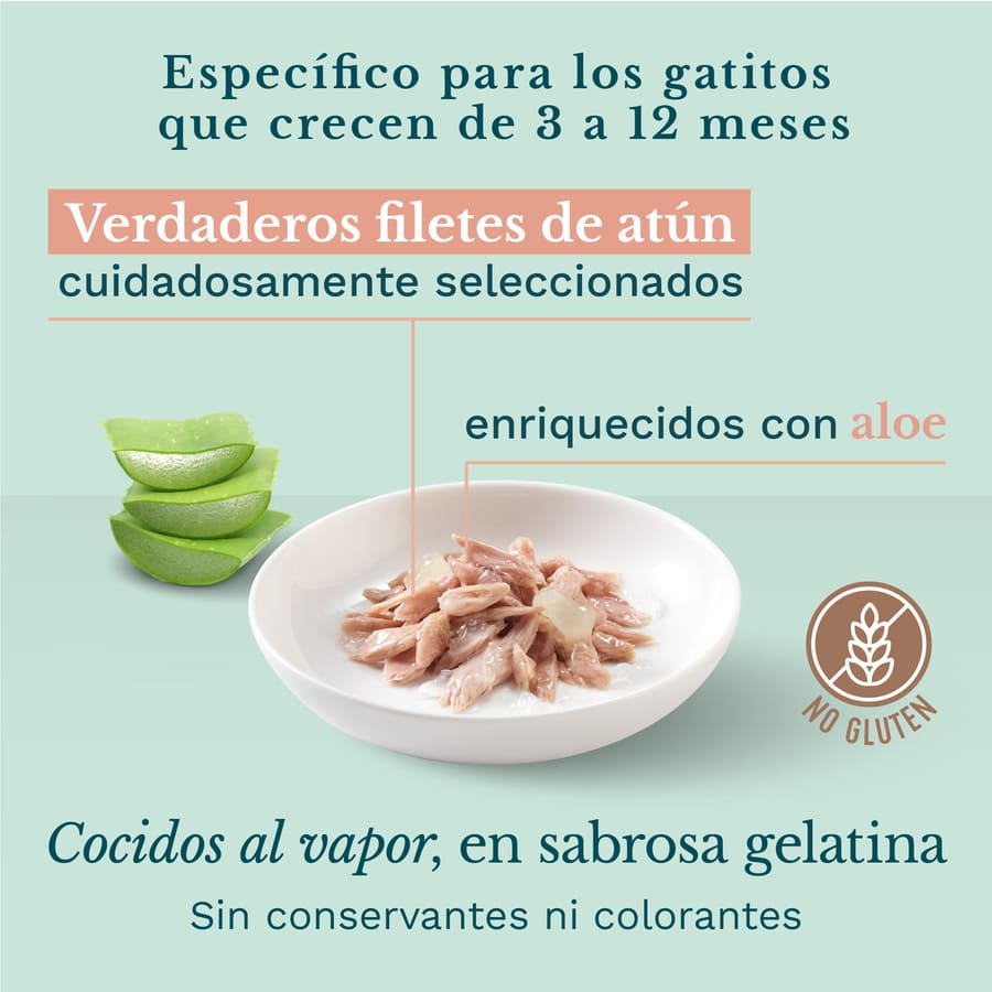 Atum enlatado Schesir Kitten com aloe vera, 85 g, para gatinhos.