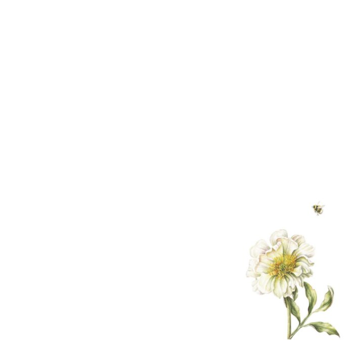 Janneke Brinkman | Beterschapskaart | Witte bloemen en vlindertje