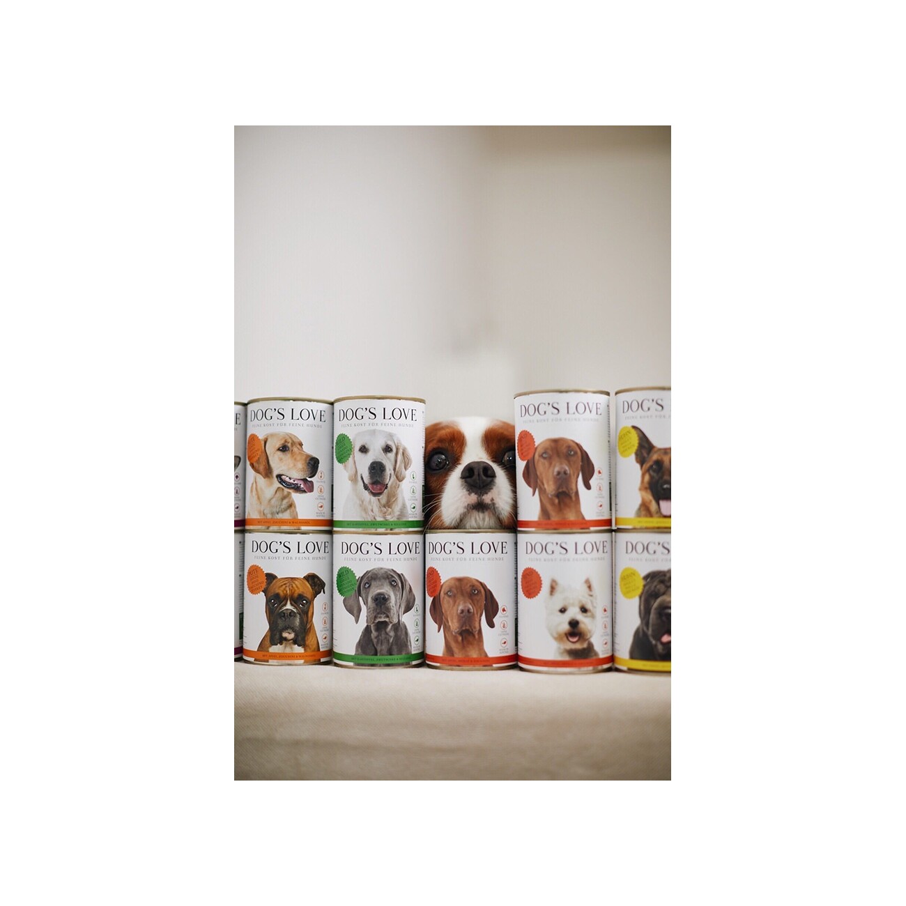 DOG'S LOVE Multipack 6x400g