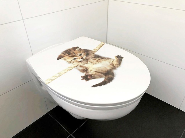 ADOB WC-Sitz »Cat« Absenkautomatik, zur Reinigung auf Knopfdruck abnehmbar