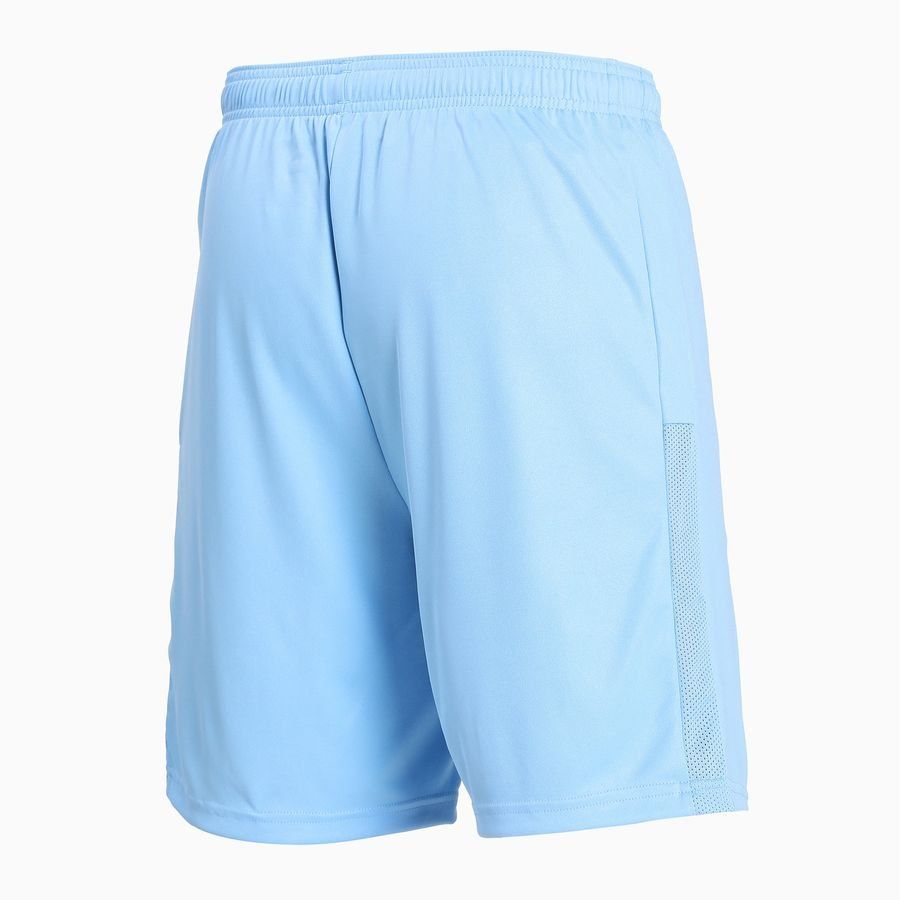 PUMA Short de Foot teamGOAL 23 - Bleu/Blanc