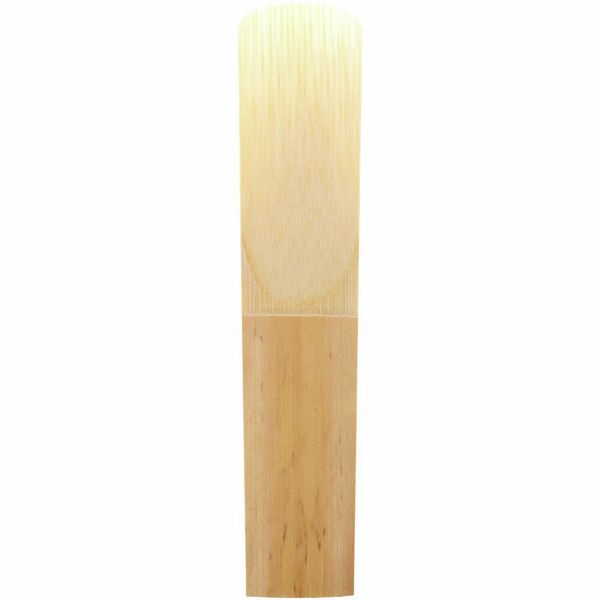 Daddario Woodwinds Royal Tenor Sax 2