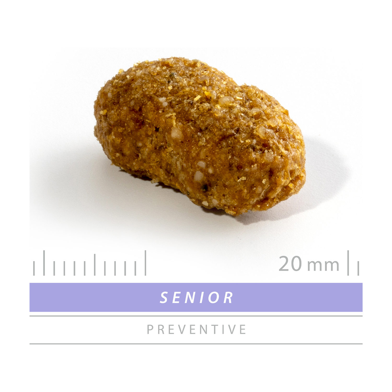 SANIMED Senior Dog