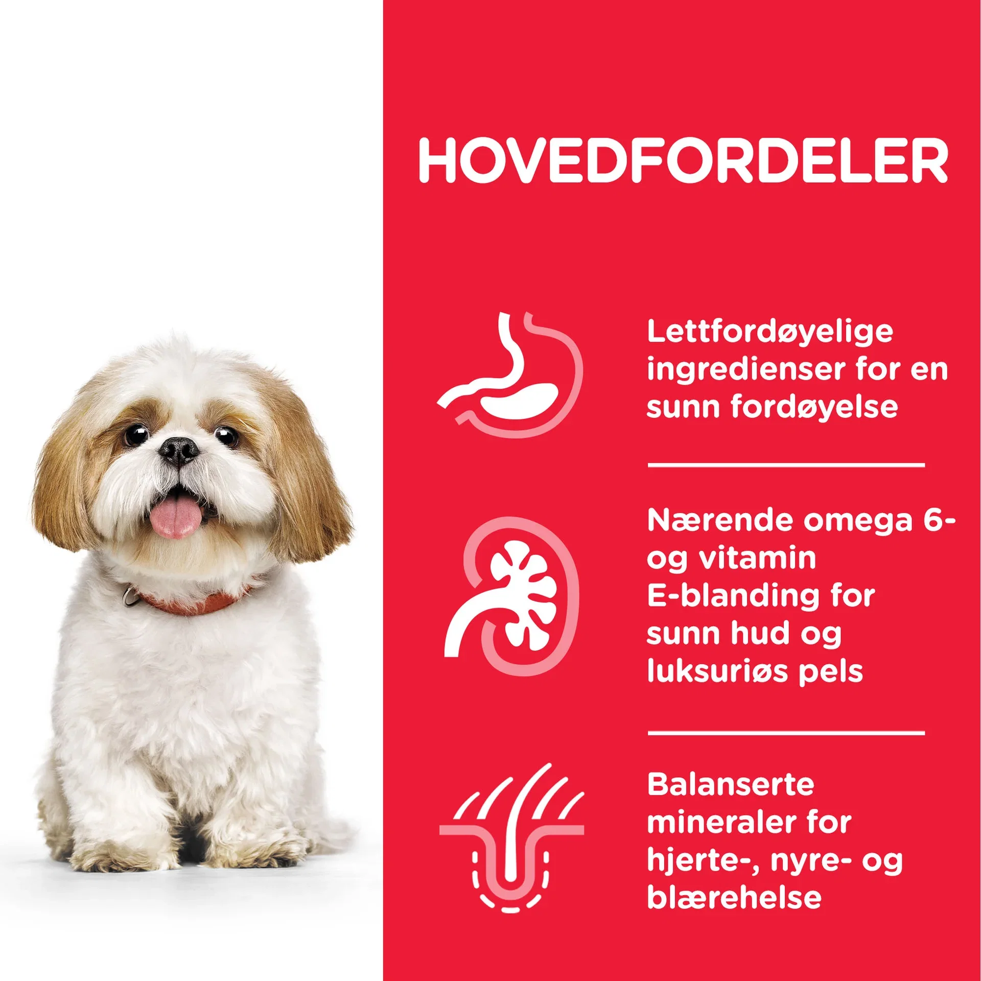 Hills Hill's Small & Mini Mature adult 7 6 kg