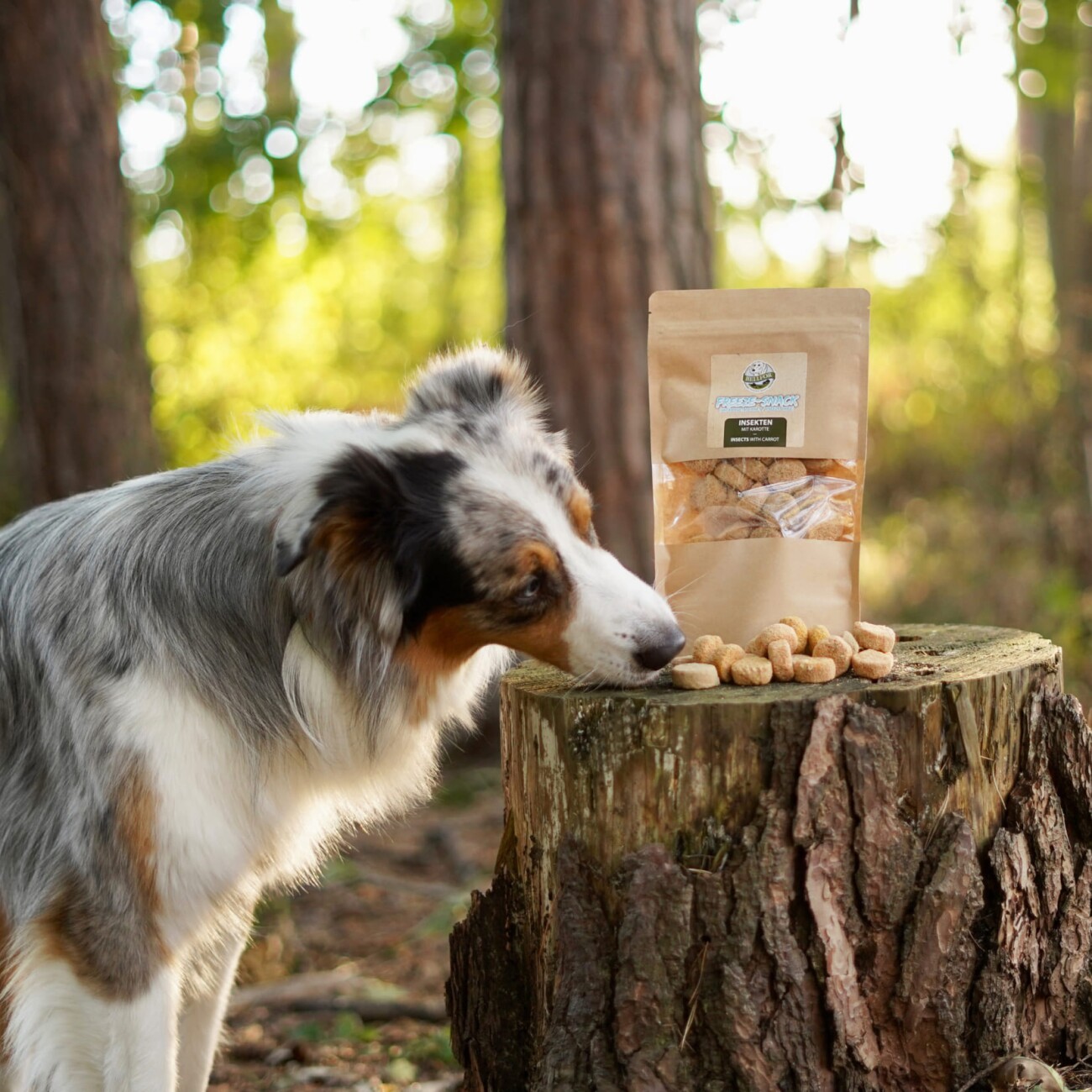 Bellfor Freeze-Snack für Hunde mit Insekten mit Karotte - 50g