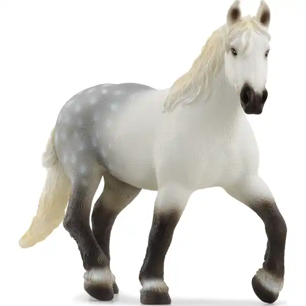 13971 Percheron Stute