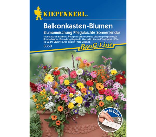 Blumenmischung Sonnenkinder, Saatgut von