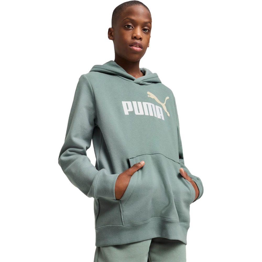 Puma ESS 2 Cololr No. 1 Logo Hoodie Kinder green moon