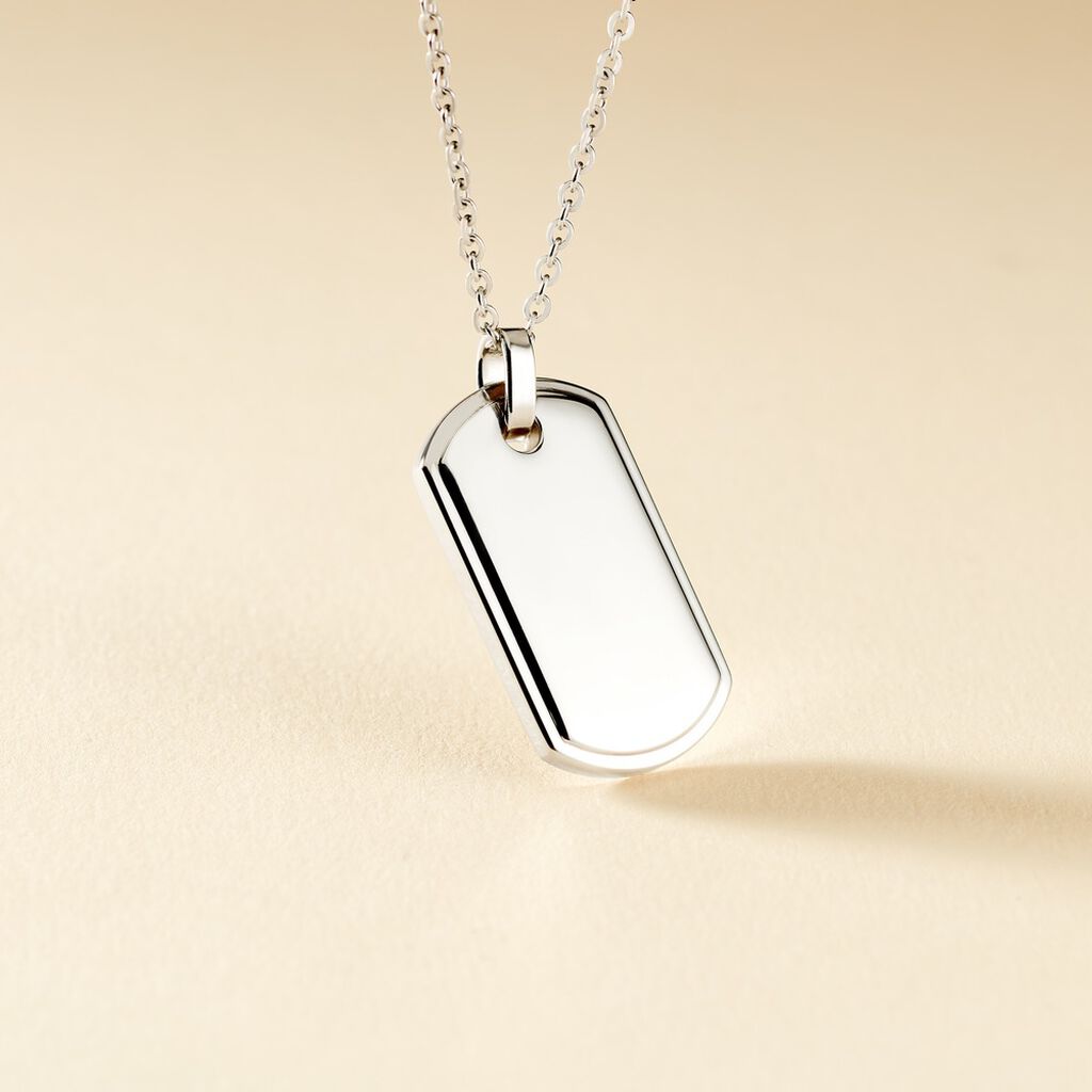 Collier Eutrope Acier Blanc
