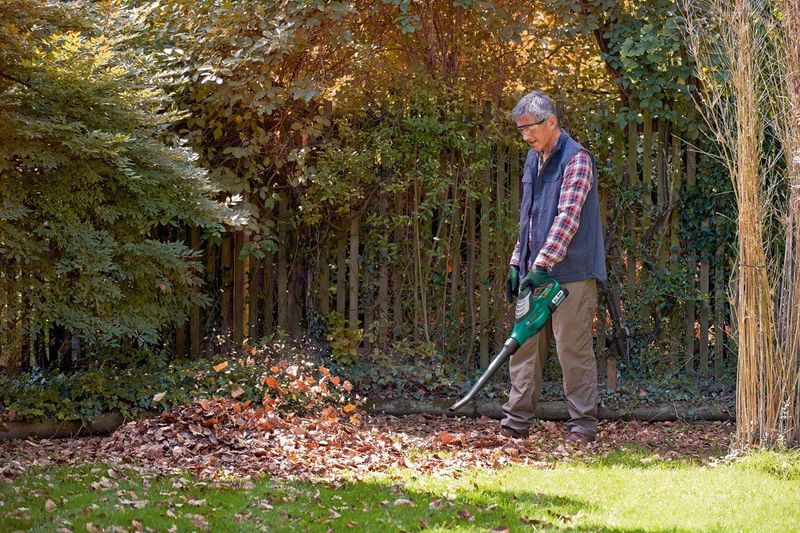 Bosch ALB 36 LI - Bladblazer - Met 36 V accu en lader