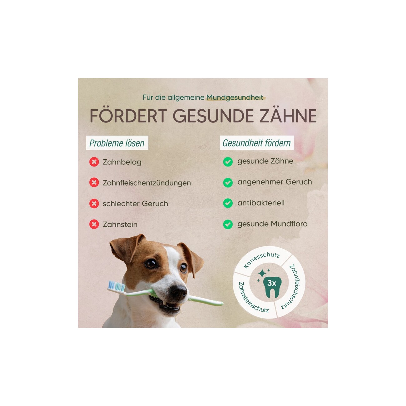 Pawlie's Zahnpflege Zahncreme