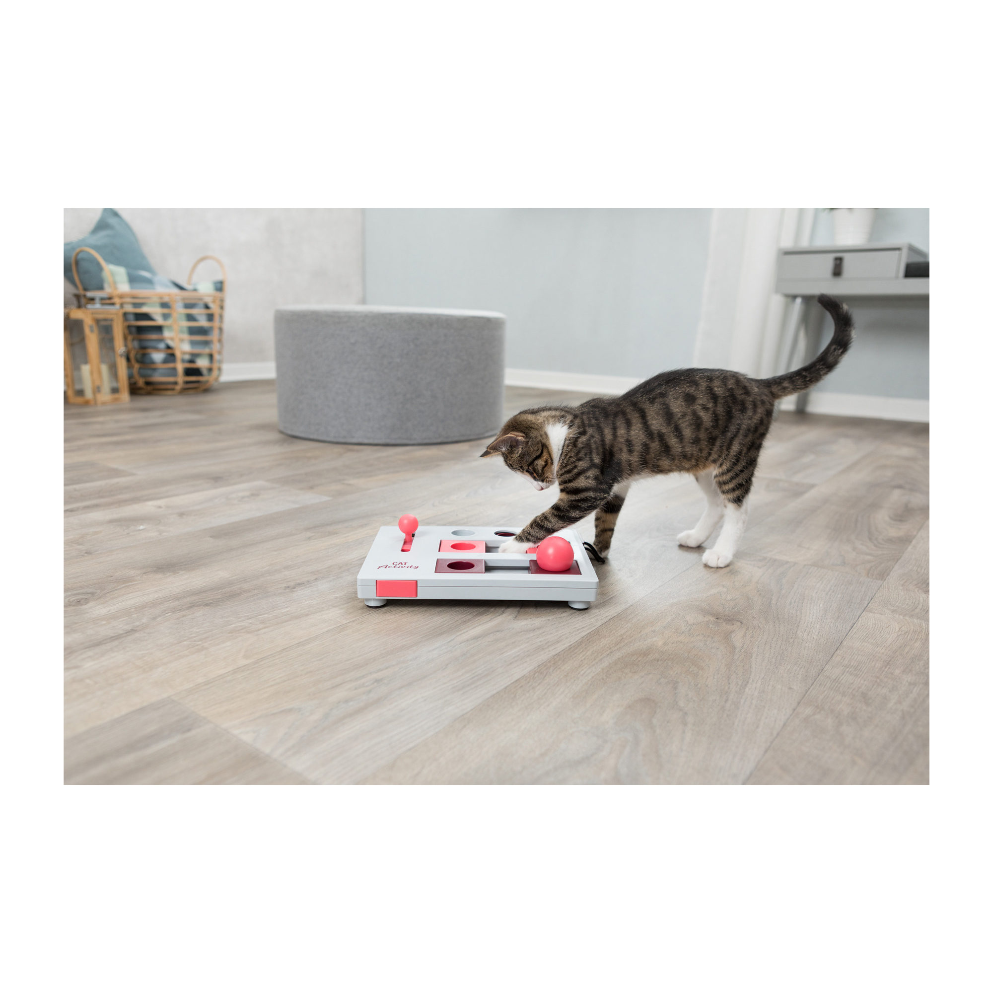 Trixie Cat Activity Brain Mover