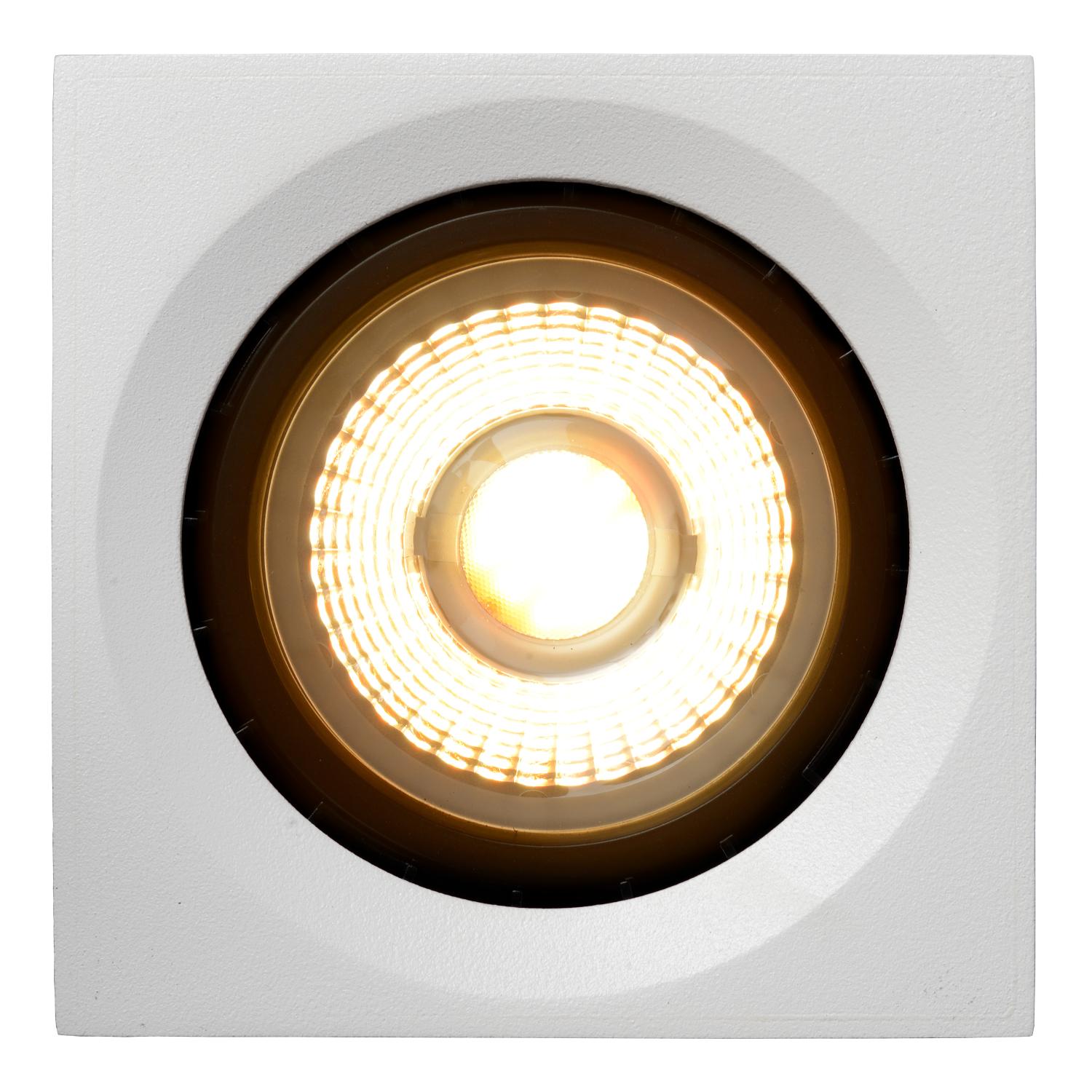 FEDLER - Plafondspot - LED Dim to warm Wit