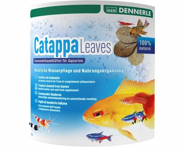 Catappa Leaves 10 St - Voor 800 L